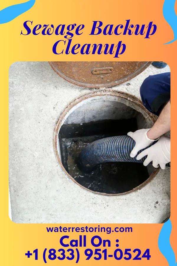 Sewage Backup Cleanup in Russell, MN