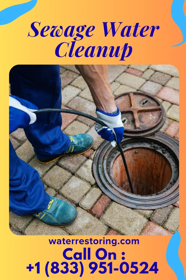 Sewage Water Cleanup in Russell, MN